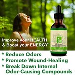 Chlorophyll Drops - Manufacturer Factory Price Mint Unflavored Digestion Immune