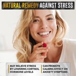 Antioxidant Gummies - Manufacturer Private Label Bear Ashwagandha Maca Root Vitamin