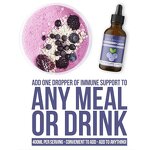 Elderberry Syrup - Manufacturer Hot Sale Organic Sambucus 30ml Antioxidant