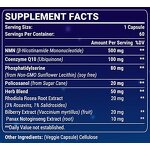 NMN Capsules - Manufacturer Best Nootropic NAD+ Booster Anti Aging CoQ10