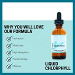 Chlorophyll Drops - Manufacturer Factory Price Mulberry Leaves Energy Detox Slimming
