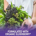 Elderberry Drops - Manufacturer Organic Sambucus Elderberries Extract Liquid