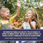 Elderberry Syrup - Manufacturer Hot Sale Organic Sambucus 30ml Antioxidant