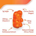 Vitamin C Gummies - Manufacturer Hot Selling Watermelon 1000Mg D K Zinc Adult Digestion