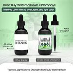 Chlorophyll Drops - Manufacturer OEM ODM 6000MG Mint Vegan Deodorant Skin Protect