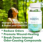 Chlorophyll Gummies - Manufacturer Private Label Herb Extract 60Ct Detox Liver Energy