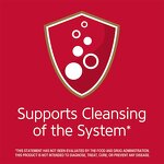 Slimming Tea - Manufacturer 2022 Hot Organic Private Label Slim Right Weight Loss