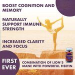 Lion's Mane Gummies - Manufacturer OEM ODM Private Label 4-in-1 Brain Power Immunity