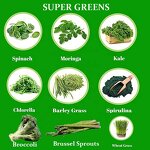 Men's Multivitamin Gummies - Manufacturer Superfruits Energy Antioxidants Supplement