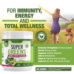 Superfood Powder - Manufacturer Private Label Orgain Shake Chocolate Green Juice Organic