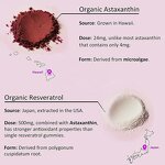 Astaxanthin Gummies - Manufacturer Sugar-Free 24mg Resveratrol Vitamin B1 Antioxidant