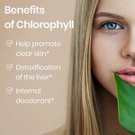 Chlorophyll Gummies - Manufacturer Wholesale Private Label Cleanse Detox Energy Booster