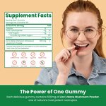 Lion's Mane Gummies - Manufacturer Ginko Smart Focus Memory Natural Fruit Brain