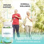 Chlorophyll Gummies - Manufacturer Private Label Herb Extract 60Ct Detox Liver Energy