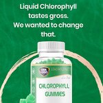 Chlorophyll Gummies - Manufacturer Hot Sale Organic Vegan Sodium Copper Cleanse Body