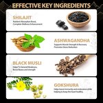 Shilajit Gummies - Manufacturer OEM Private Label Himalayan Energy Brain Memory Support