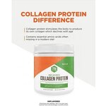 Collagen Powder - Manufacturer 2025 Hot Thailand MCT Oil Skin Care Peptides