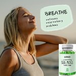 Sea Moss Gummies - Manufacturer Private Label Organic Irish Bladderwrack Burdock Elderberry