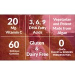 Kids DHA Gummies - Manufacturer 100% Organic Multivitamin Omega 3 6 9 Brain Heart