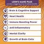 Lion's Mane Gummies - Manufacturer OEM ODM Private Label 4-in-1 Brain Power Immunity