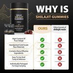 Shilajit Gummies - Manufacturer OEM Private Label Himalayan Energy Brain Memory Support