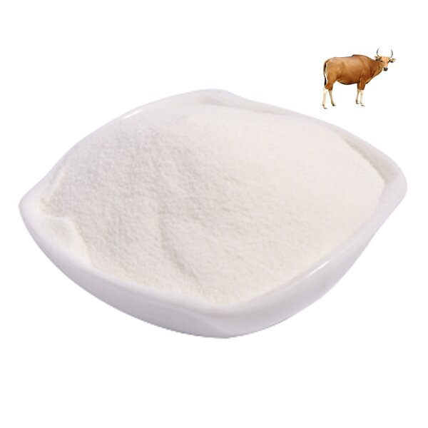 Collagen Powder Manufacturer - Wholesale Hydrolyzed Bovine Halal for Bone