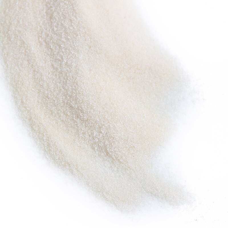 Whey Protein Powder Manufacturer - Wholesale Bulk Halal 90% Isolate