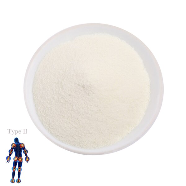 Collagen Powder Manufacturer - High Quality Free Sample Type II