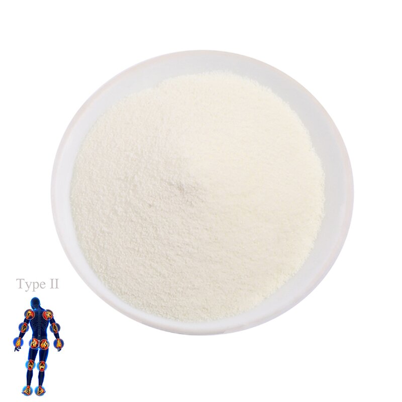 Collagen Powder Manufacturer - High Quality Free Sample Type II