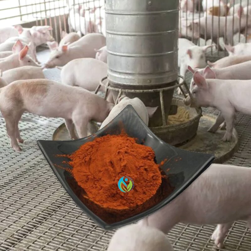 Bone Ash Powder Manufacturer - High Quality Cattle Source Calcined Premium