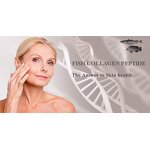 Hydrolyzed Elastin Powder Manufacturer - Bovine Skin or Bone for Optimal Absorption