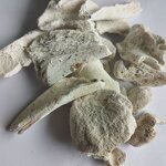 High Quality Bone Ash Bone Powder Protein