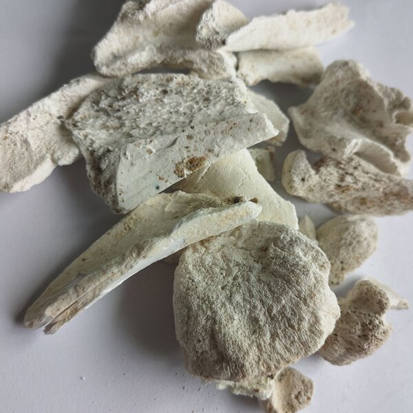 Crushed Bone Ash or Powder Used in Animal Feed