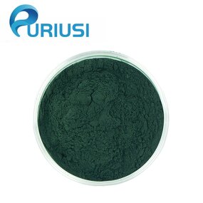 Chlorophyllin Powder - Manufacturer 90%-98% Sodium Copper Halal Kosher CAS28302-36-5