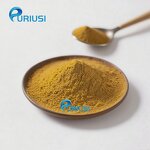 Turkey Tail Extract - Manufacturer 10:1 Coriolus Versicolor Powder Factory Supply High