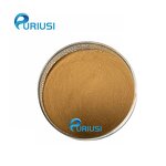 Agaricus Blazei Powder - Manufacturer 10:1 Polysaccharides Food Grade Natural Factory