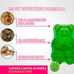 Sea Moss Gummies - Manufacturer OEM ODM Organic Vitamin Bladderwrack Private Label