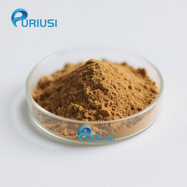 Rhodiola Rosea Powder - Manufacturer 10:1 50:1 Pure Natural Plant Extract High Quality