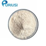 Chitosan Powder - Manufacturer 95% Deacetylation CAS9012-76-4 ISO9001 Factory Bulk