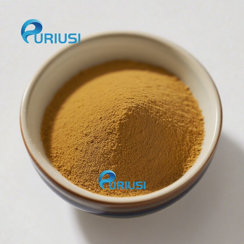 Lions Mane Extract - Manufacturer Hericium Erinaceus 10:1 High Quality Factory Supply