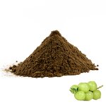 Amla Extract Powder - Manufacturer 10:1 Phyllanthus Emblica Bulk Vitamin C Supply