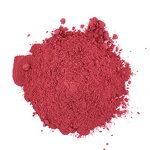 Gooseberry Extract - Manufacturer 10:1 20:1 Best Price Natural Plant Extract Powder