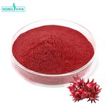 Roselle Powder - Manufacturer 100% Organic Freeze Dried Roselle Juice Pure Natural