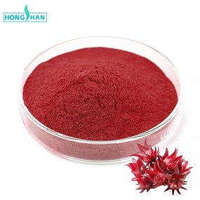 Roselle Powder - Manufacturer 100% Organic Freeze Dried Roselle Juice Pure Natural