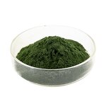 Fucus Vesiculosus - Manufacturer 100% Natural Pure Extract for Cosmetics Powder