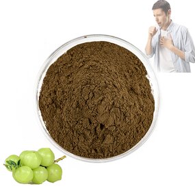 Amla Extract Powder - Manufacturer 10:1 Phyllanthus Emblica Bulk Vitamin C Supply