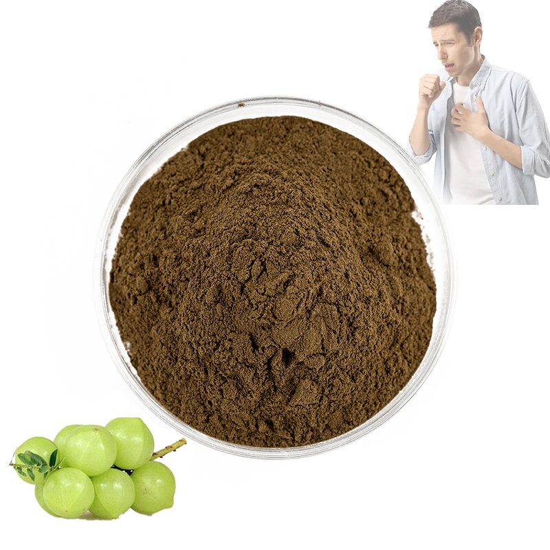 Amla Extract Powder - Manufacturer 10:1 Phyllanthus Emblica Bulk Vitamin C Supply