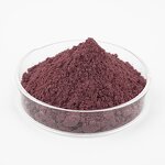 Black Carrot Extract - Manufacturer 10:1 20:1 Wild-Cultivated Natural Plant Extract