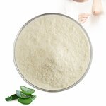 Aloe Vera Powder - Manufacturer 100% Organic Freeze Dried 100X 200X Cosmetic Grade