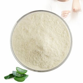 Aloe Vera Powder - Manufacturer 100% Organic Freeze Dried 100X 200X Cosmetic Grade